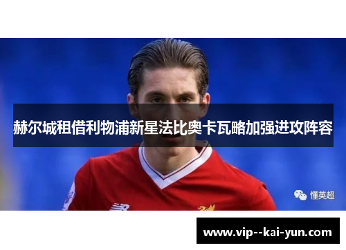 赫尔城租借利物浦新星法比奥卡瓦略加强进攻阵容 赫尔城租借利物浦新星法比奥卡瓦略加强进攻阵容